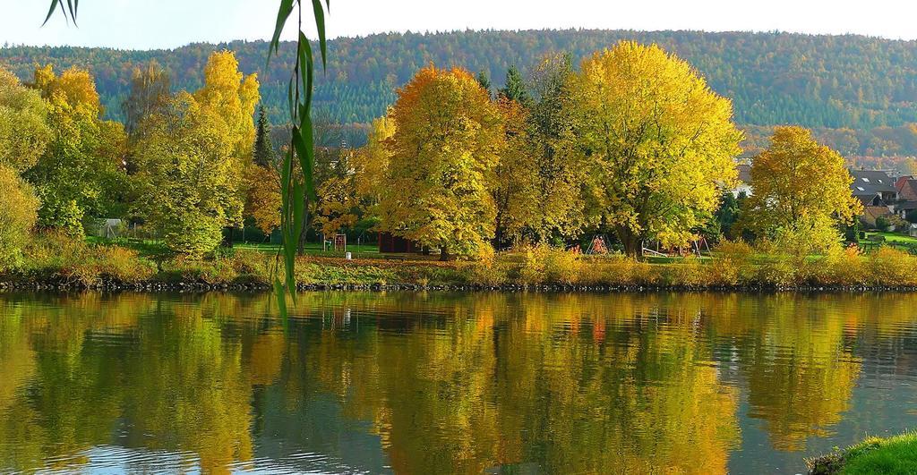 Pension Haus Erika Stadtprozelten Екстериор снимка