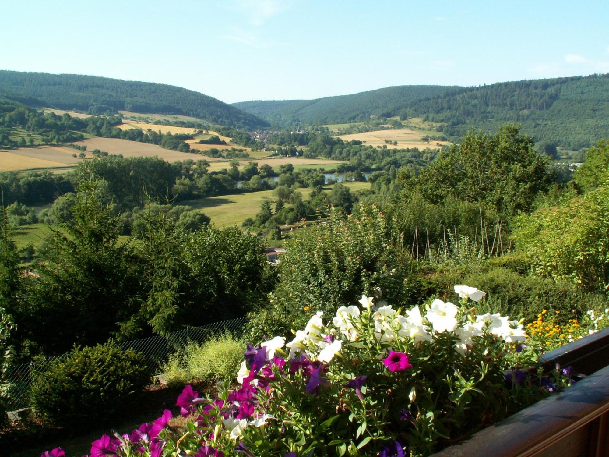 Pension Haus Erika Stadtprozelten Екстериор снимка